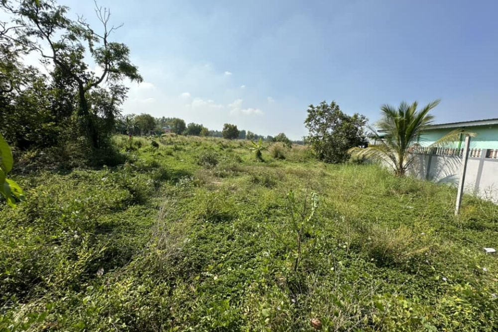 481920549_1367293757923801_2254264437427485350_n