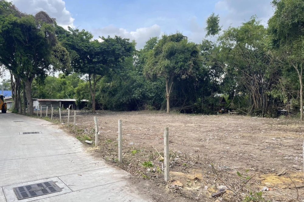 482004223_1666046187333394_1983348048538917914_n