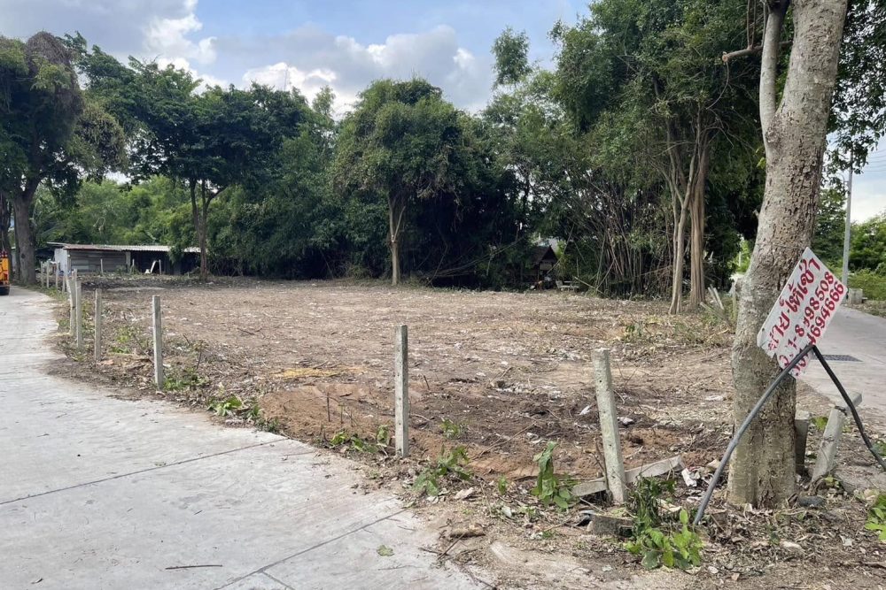 482005199_1666046194000060_5077715839293648587_n