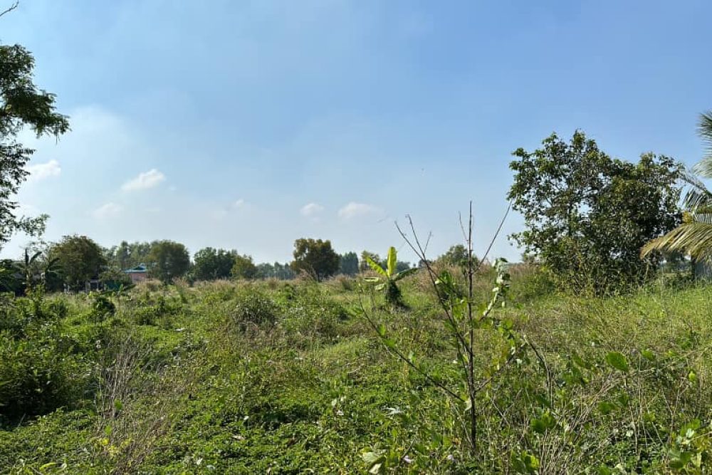 482081615_1367293774590466_6569936557474811699_n