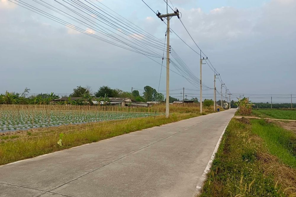 482251266_1369563274060624_4735385269451879737_n