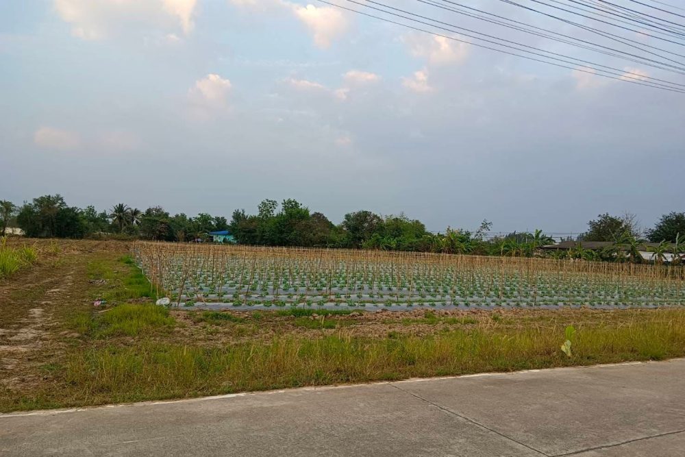 482251359_1369580107392274_4025276561211253820_n