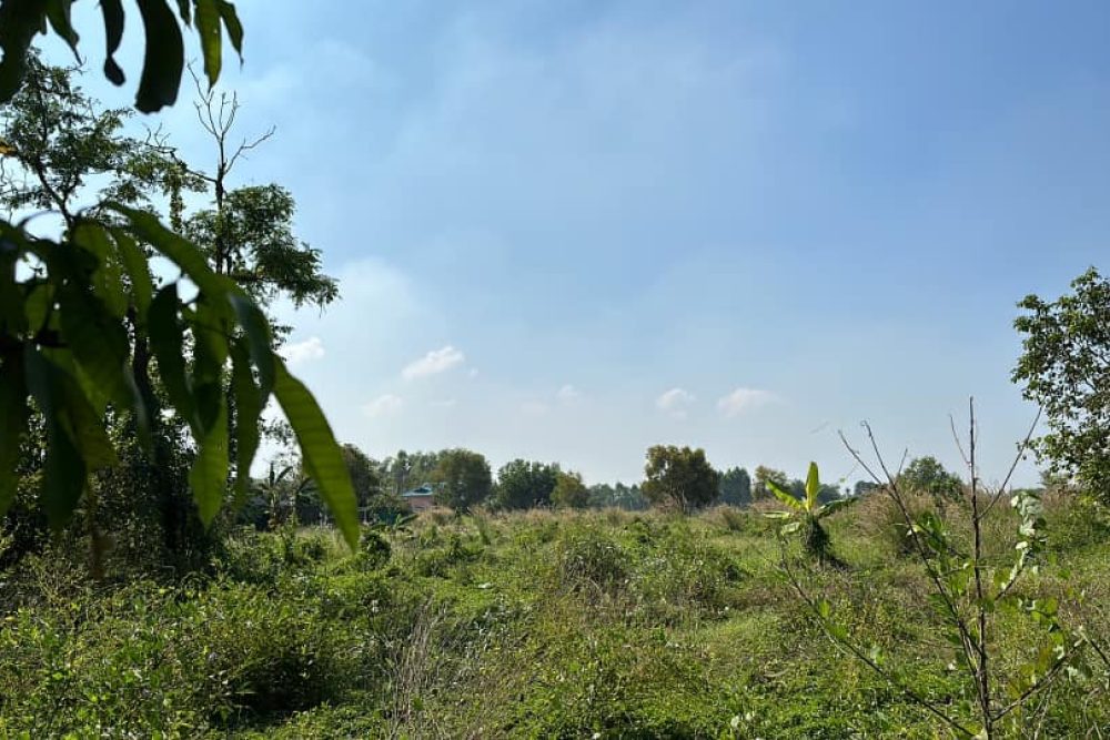 482349456_1367293807923796_2867943376150684344_n