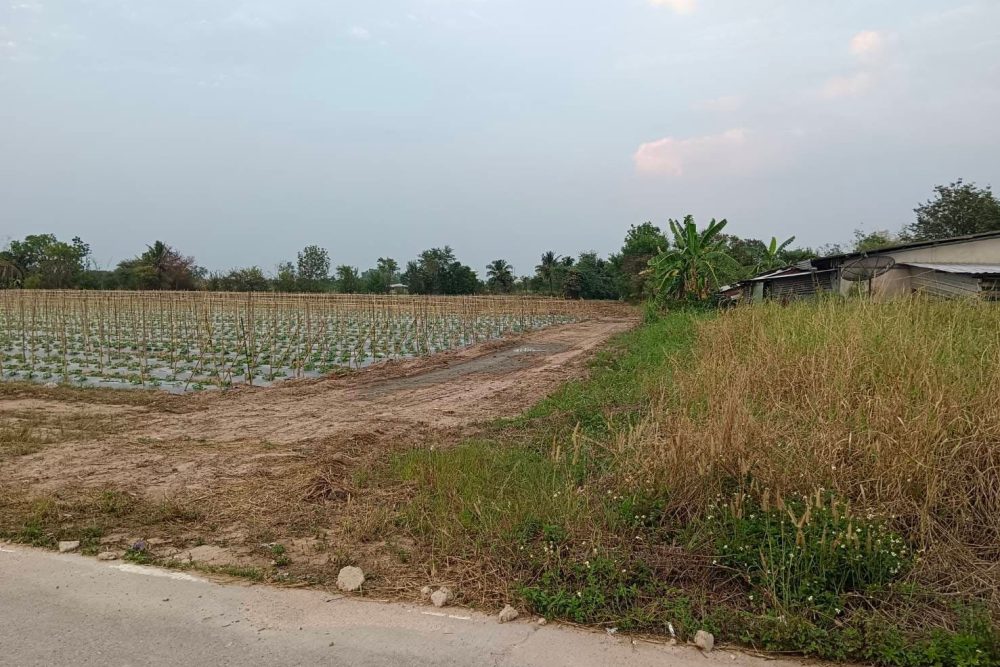 482807091_1369354264081525_877089266029499970_n