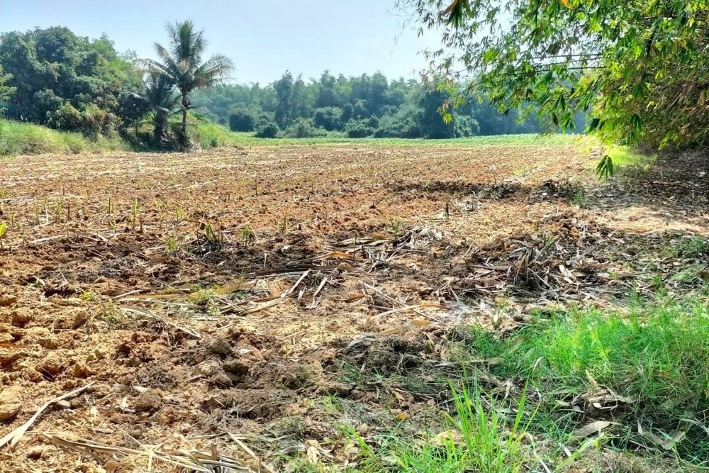 483608126_2105043609966326_8883186336802411718_n