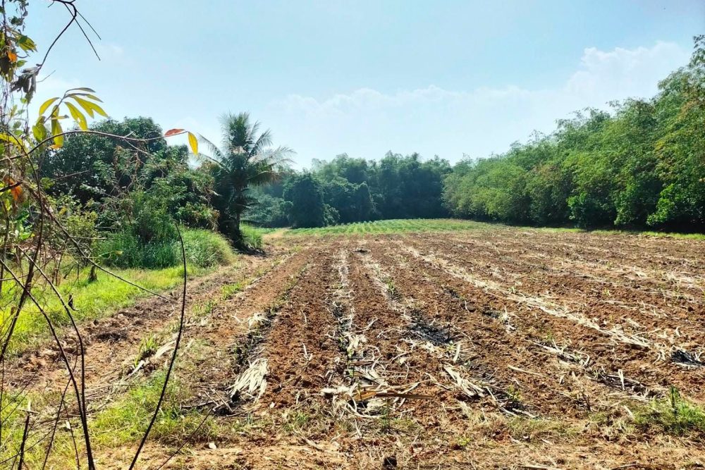 483805751_2105043566632997_3709044996995316186_n