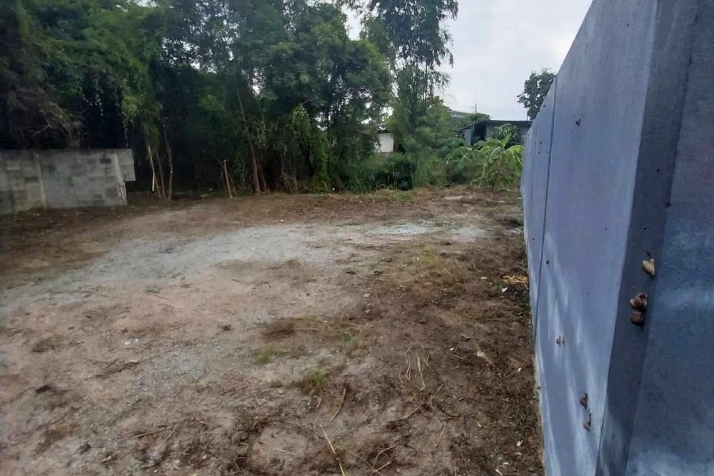 486606932_1584484792237946_7351377109536133147_n