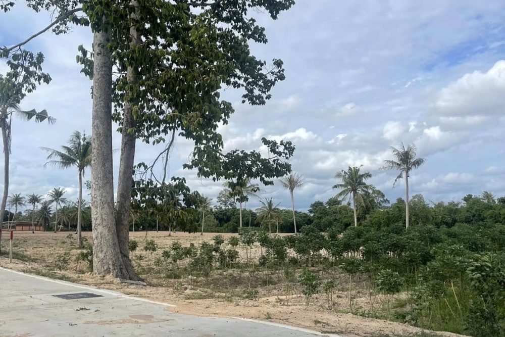 486685237_1849817519148576_3657242996013181129_n