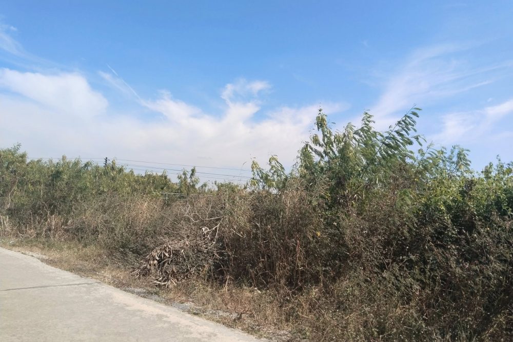 486769010_1855331855284152_4443912201532517409_n