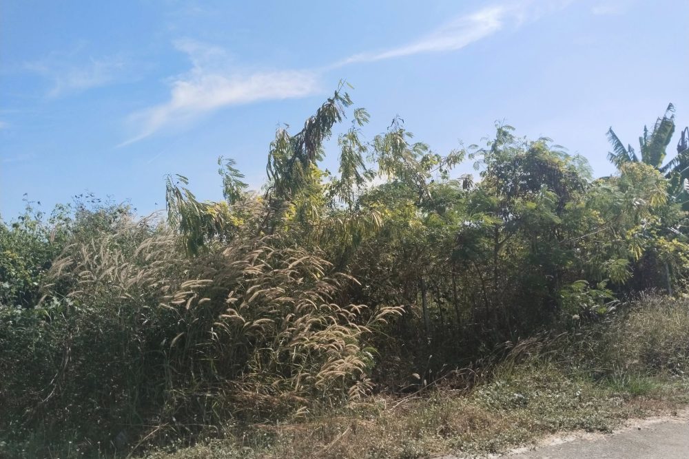 486813083_1855331021950902_8021912666558716638_n