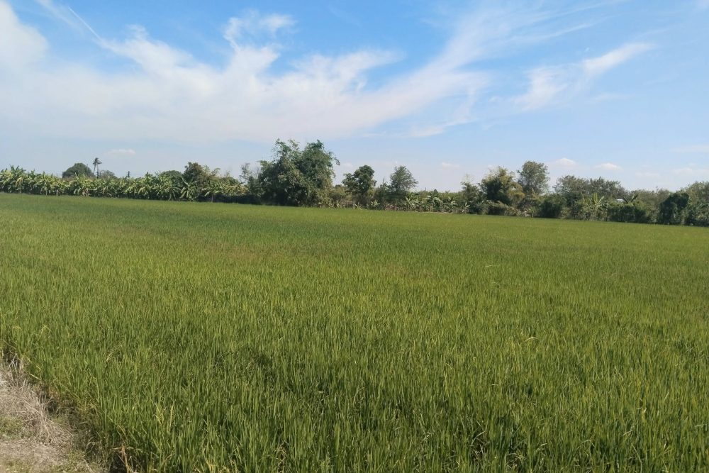 486867996_1855328248617846_1398804725366734803_n