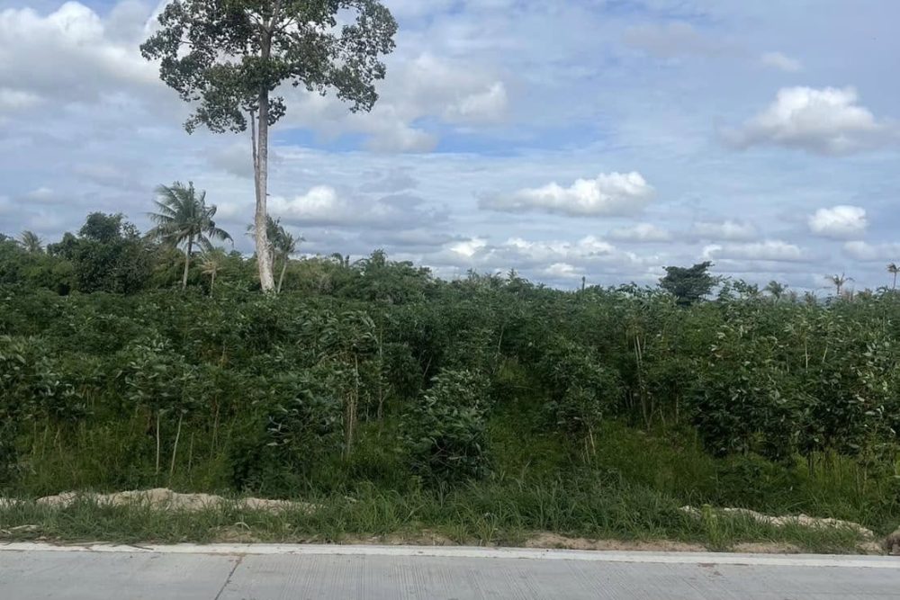 486915894_1849817295815265_4604951506965865272_n