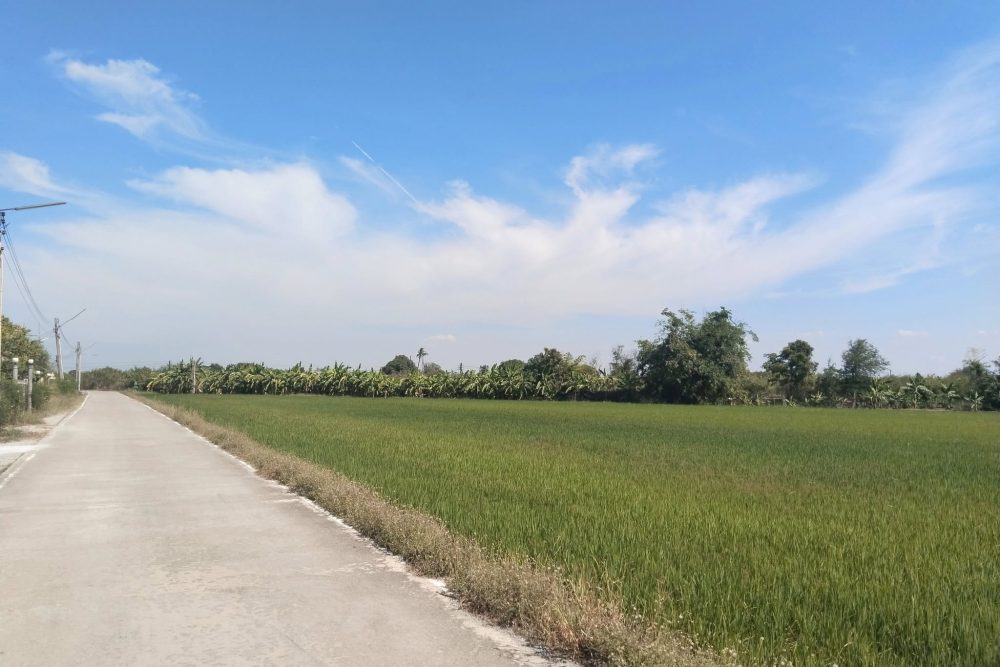 486943850_1855330718617599_5300162995751583995_n