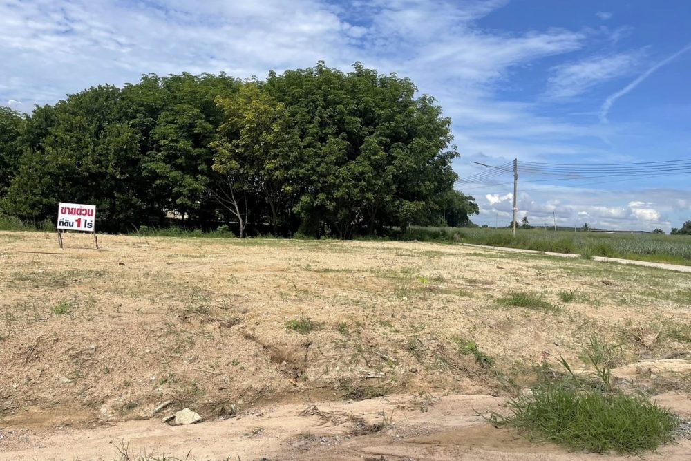 488255392_2715239805532441_4776870648142846699_n