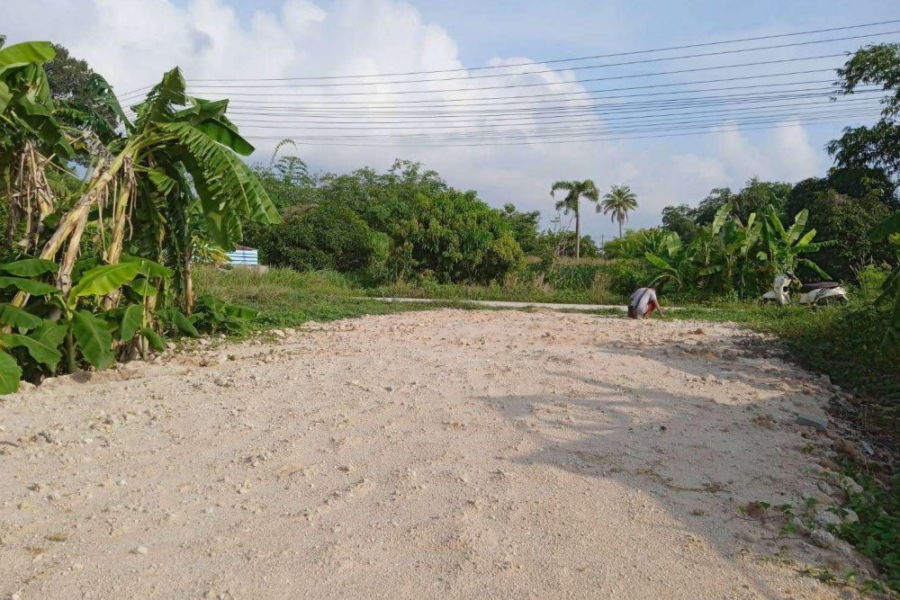 489729338_2235704780206209_4385757573550836217_n