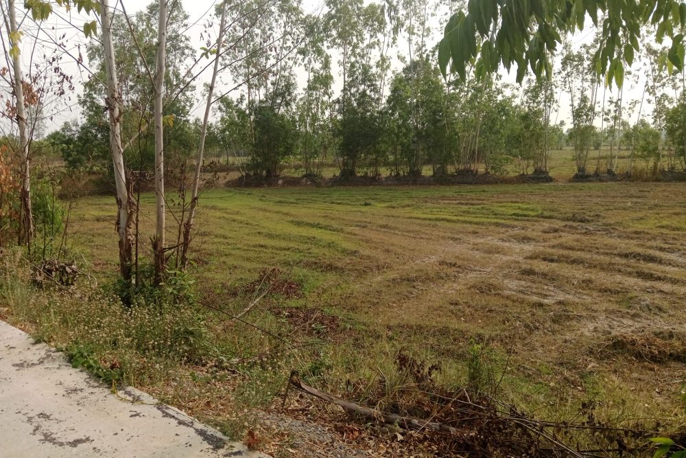 489908739_9607631842635163_116338081748120723_n