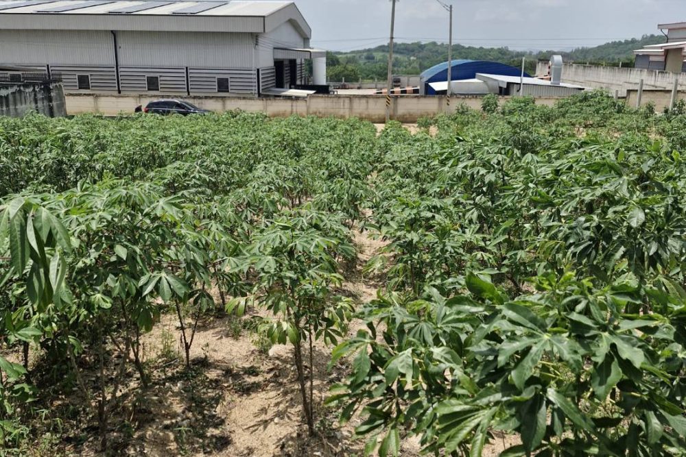 489931228_656937237089361_6855616996084529371_n