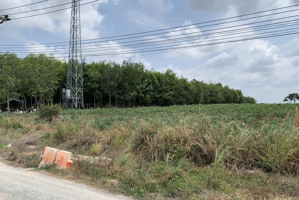 490315156_4295597737334897_3881512315452809560_n