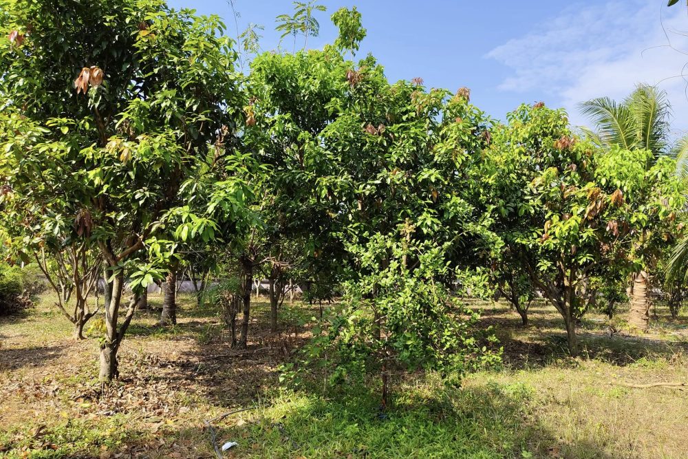 490531443_9545866938841403_1539555805952358503_n