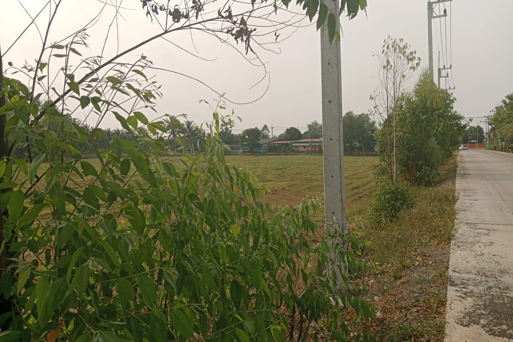 490577632_9607631922635155_191083796110088326_n