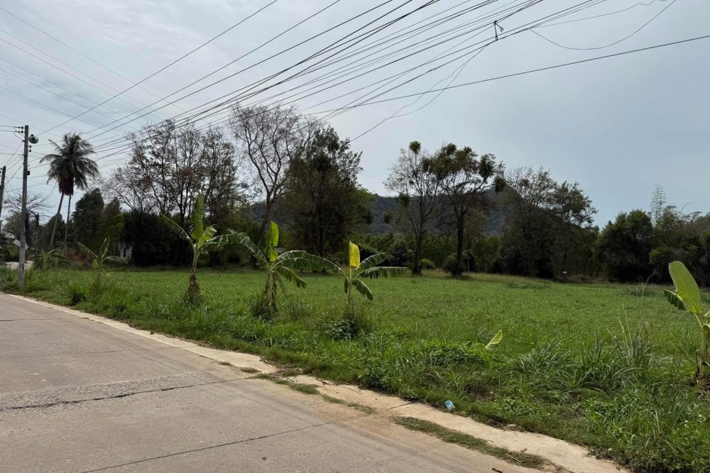 491212121_1794883217754851_5909666118846324124_n