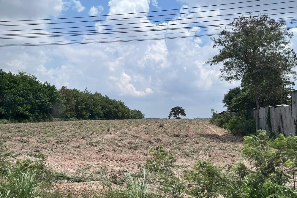 491232728_9994351443949010_2560542708537307371_n