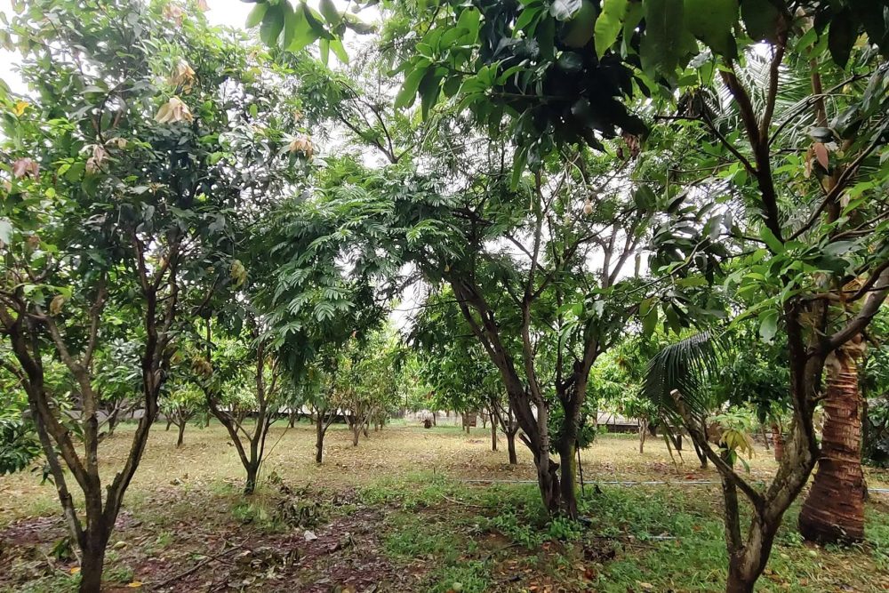 491355247_9570974586330638_1165538282351651896_n