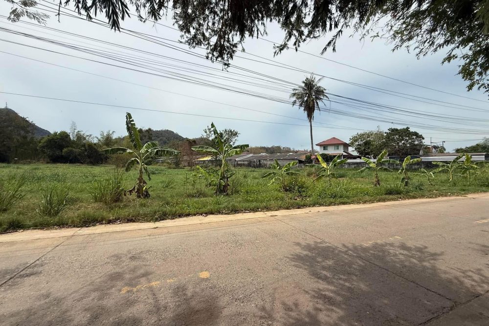 491405021_1794882201088286_5689474342012959614_n