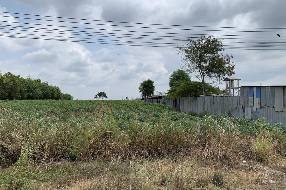 491539992_4295597764001561_7453553999053947846_n