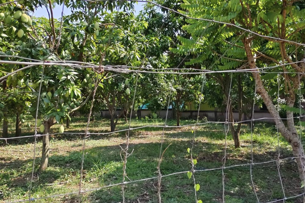 491841270_9571707956257301_4156378256016549518_n