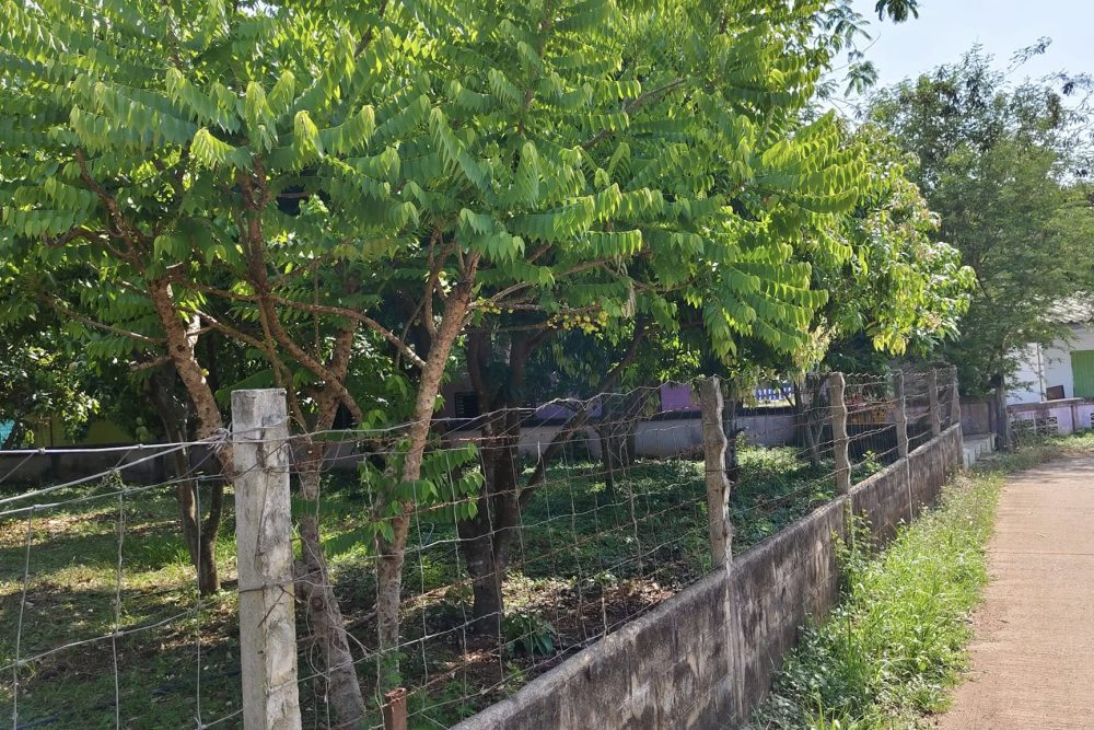 491853173_9571708252923938_6998761753117367544_n