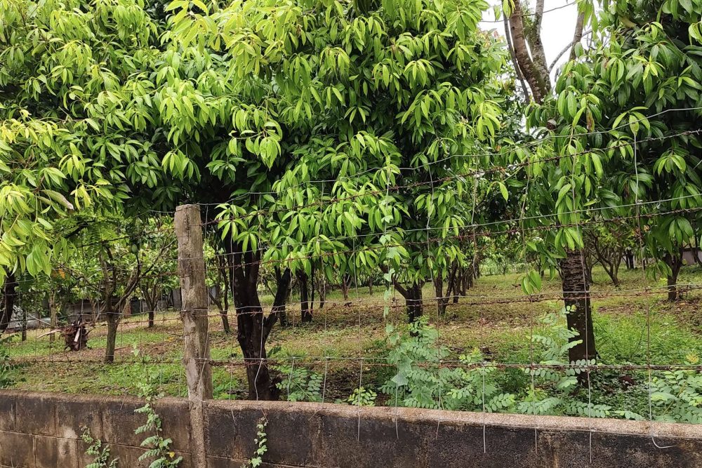 491891388_9571707856257311_512534442041865954_n