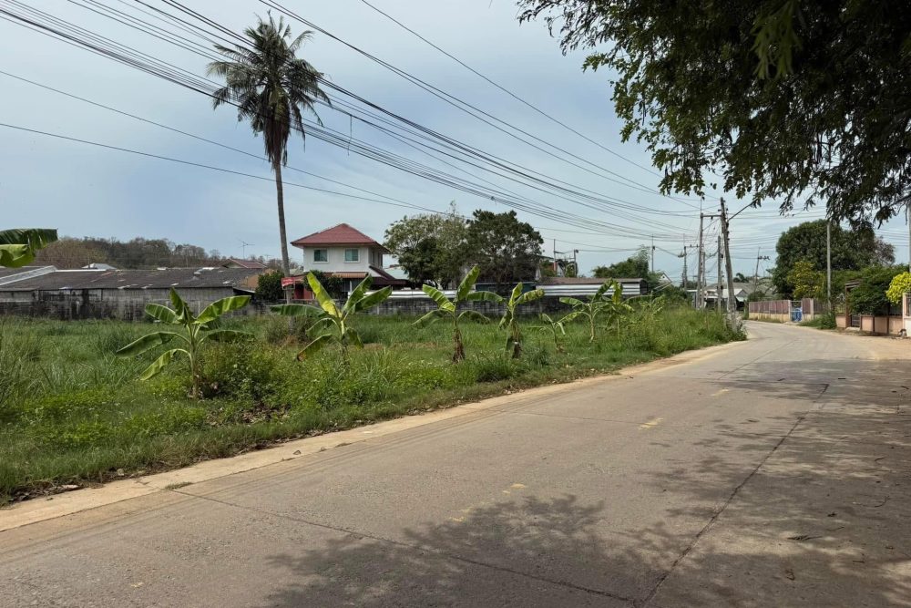 491999748_1794884407754732_1407683328835391452_n