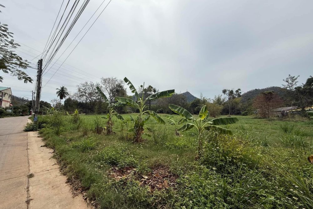 492003094_1794882594421580_6326587168516229216_n