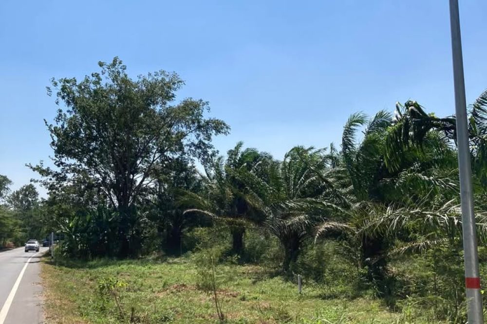 492011484_9866398246752665_3839216834433698672_n