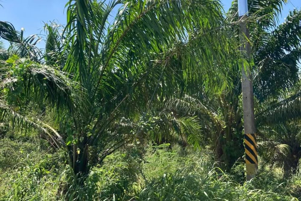 492048202_9866398270085996_5716283488665655221_n