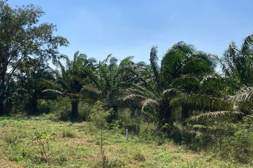 492155855_9866398256752664_2781781713315148304_n