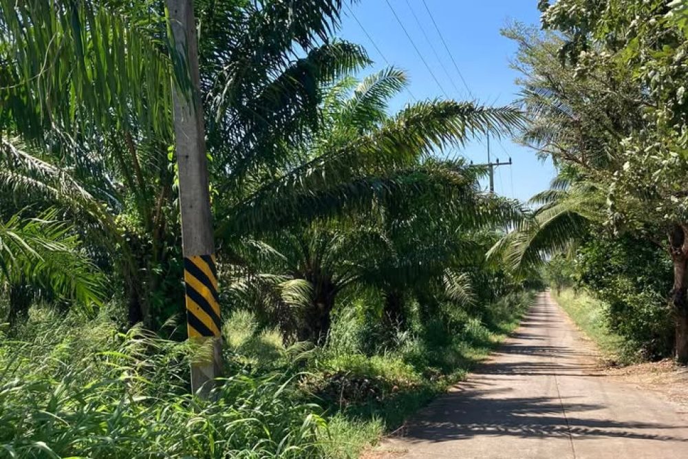 492719860_9866398276752662_6099298600180468710_n