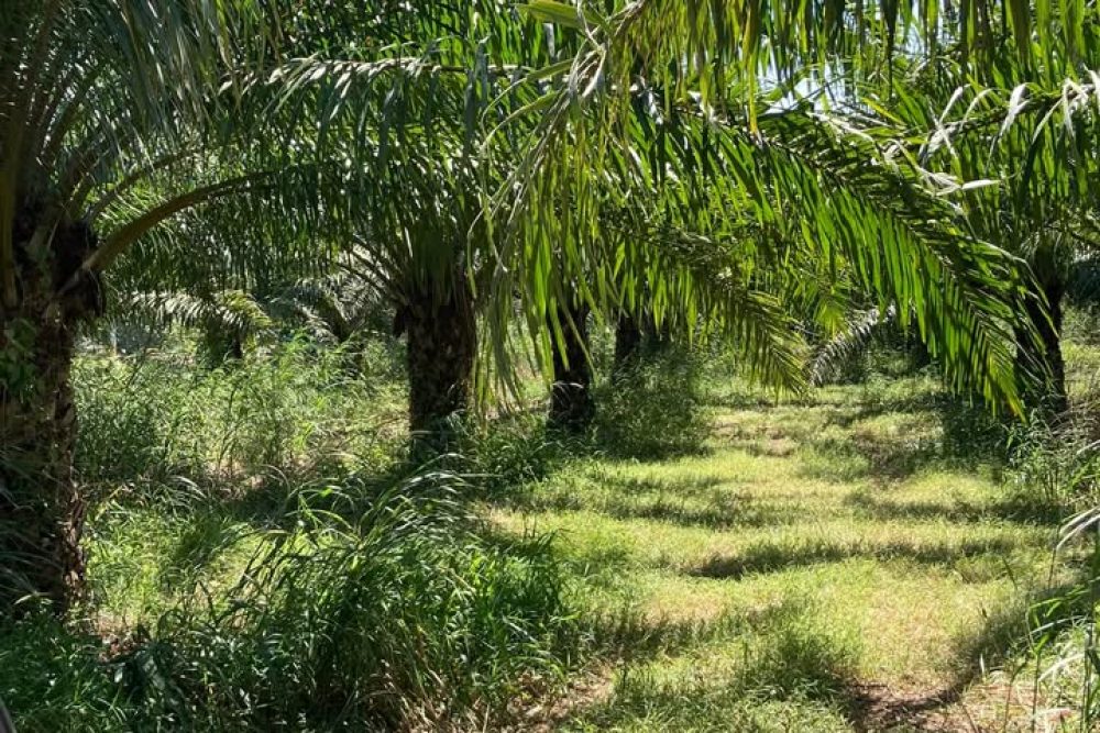 492807167_9866397916752698_6979887656663222978_n