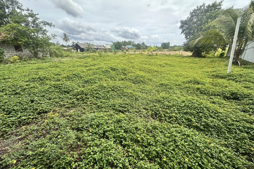 492930369_4143467252603809_1843044270507218980_n