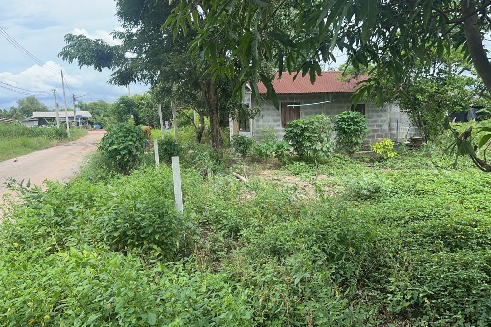 493060654_4143467355937132_34705011527193108_n