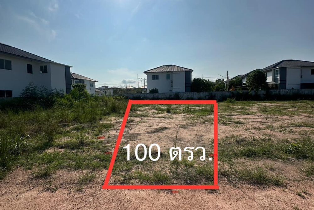 493721084_10213719149649555_903388034458463958_n