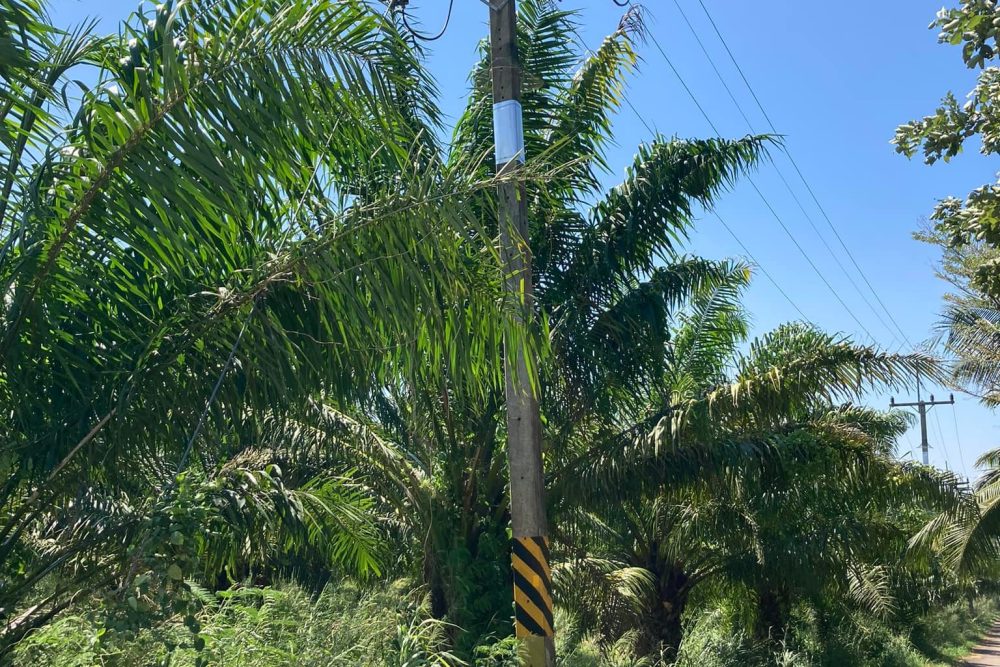 494035717_9898763043516185_8707705321350094100_n