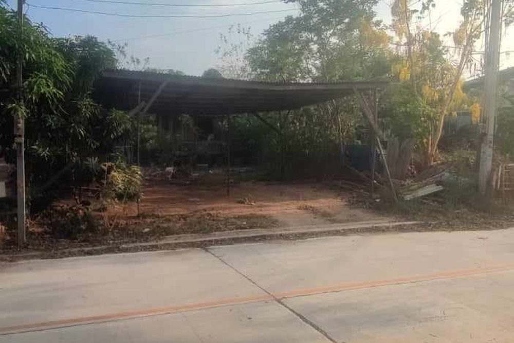 494204049_9784158788332691_8530672266547281017_n