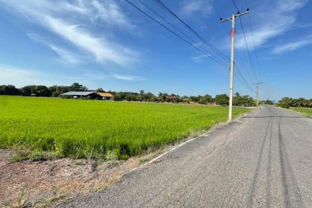 494524650_2957541047757668_723163897839519441_n