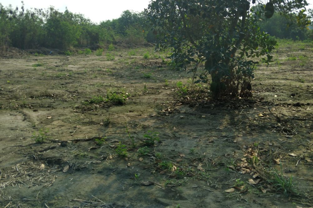 494658002_2196212670839789_4165813563648348331_n