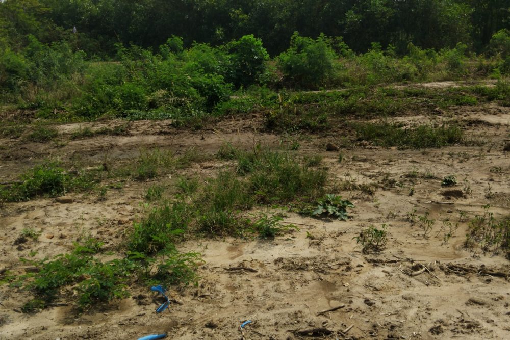 495020915_2196212724173117_933234070538904563_n