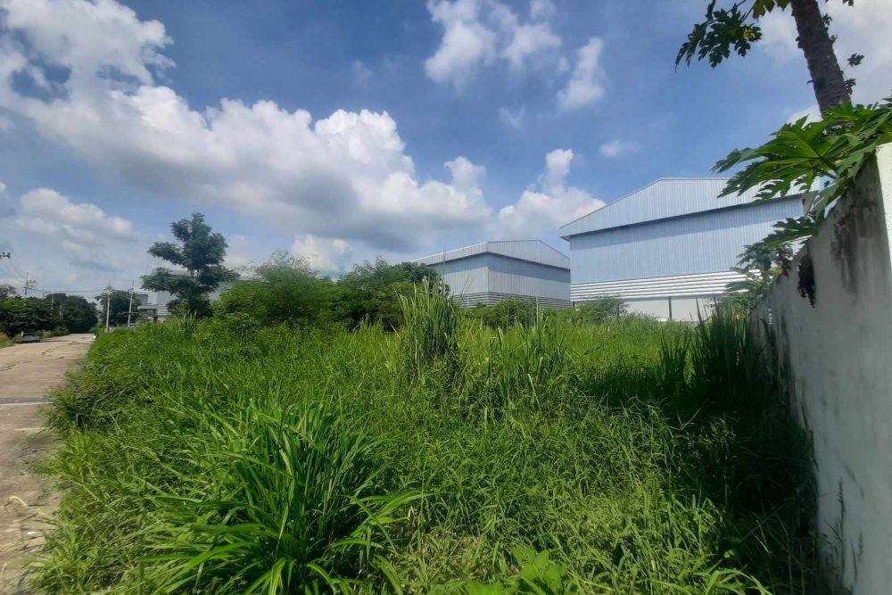 495026637_10171002171725315_96246520073009172_n