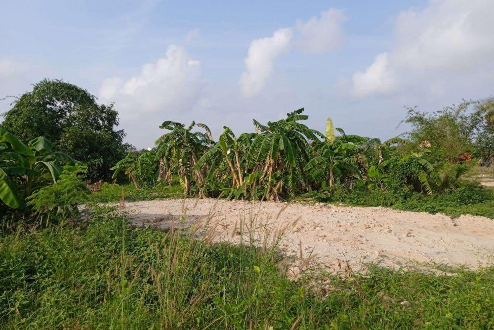 495047361_1458357525546305_917518089658696724_n