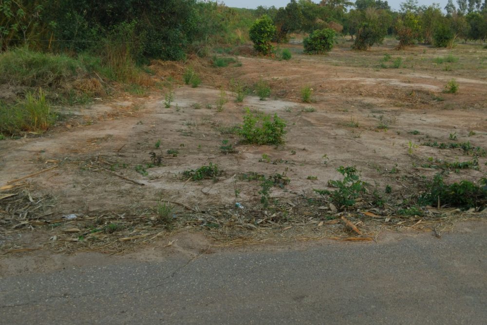 495070916_2196209017506821_4705412442031920790_n